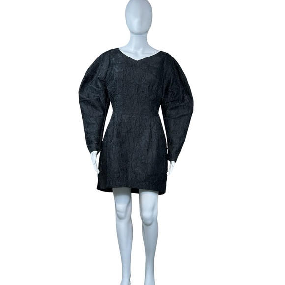 & OTHER STORIES Textured Puff Sleeve Jacquard Dress Sz 4 Goth Witchy Whimsigoth - Picture 2 of 16